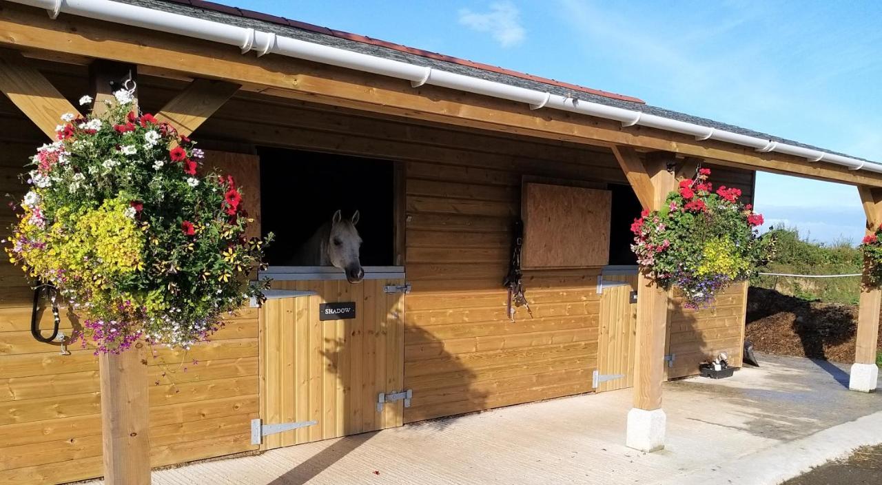 Вилла Rosebank Barn Brentor Экстерьер фото